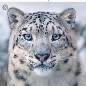 Meet your Posher, Emilie